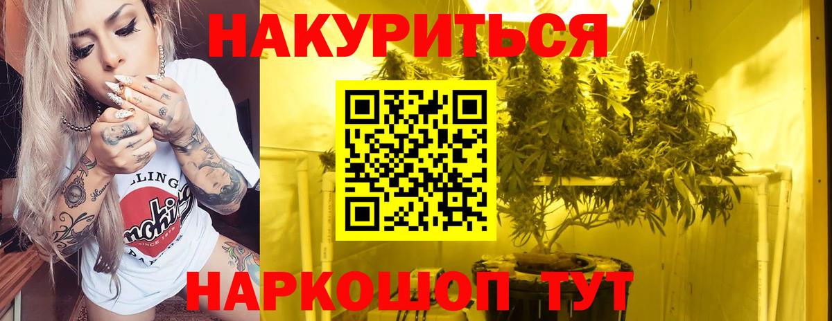 МАРИХУАНА конопля Иваново